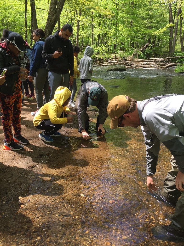 Students from Brooklyn’s P.S. 9 Release Their Classroom Trout Into Watershed Streams City of