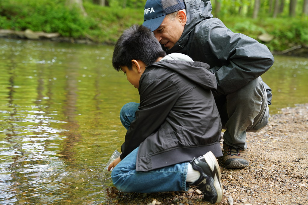 Queens Students Release Classroom Trout Into Watershed Streams City of New York