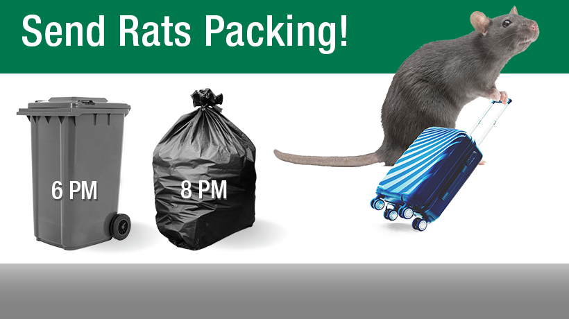 Send rats packing! Set out trash in bins at 6 PM. Bagged trash at 8 PM.
                                           