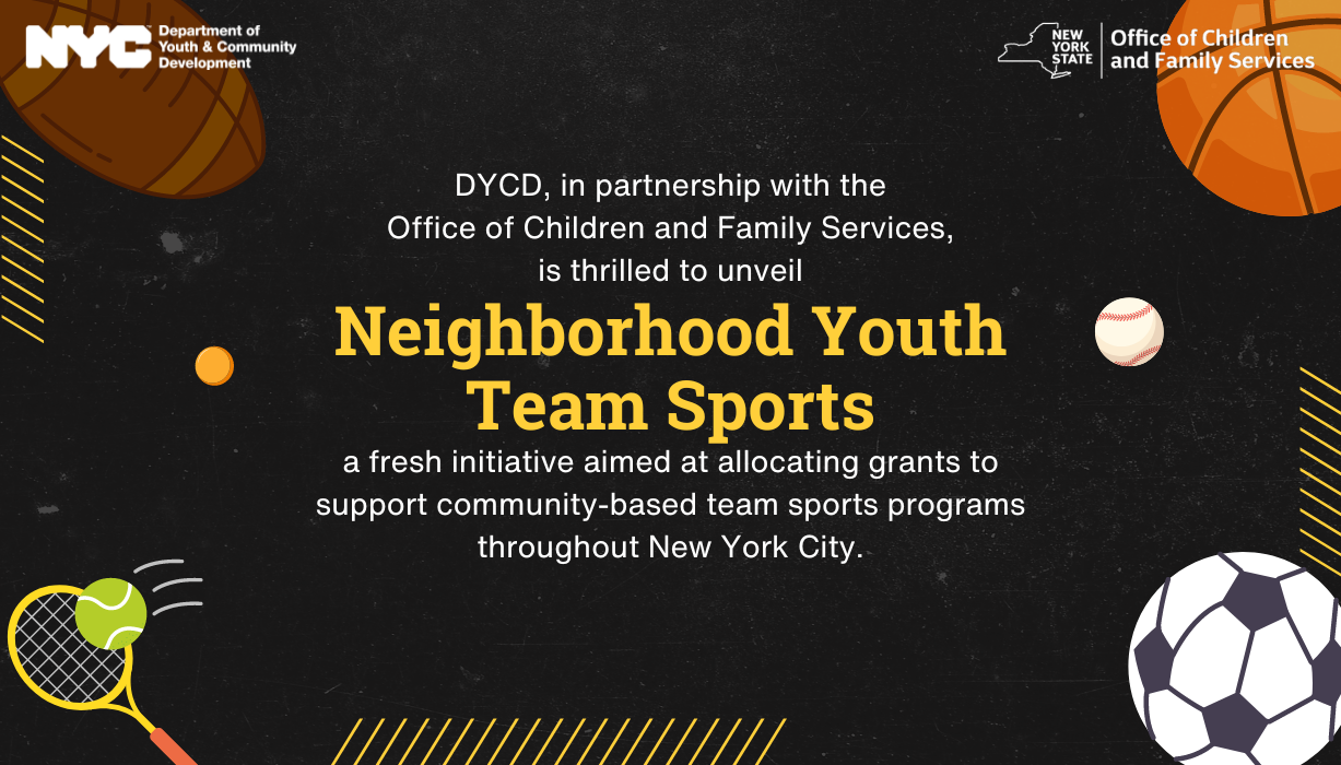 Neighborhood Youth Team Sports Grant
                                           