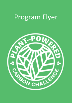 Icon of Program Flyer, click here for more information