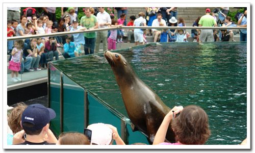 A beautiful day at the Central Park Zoo.