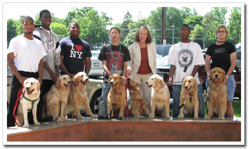 Young Men in Care Learn Patience, Discipline and Love from Dogs