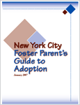 Foster Care Guide