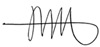 Ronald E. Richter Signature Ronald E. Richter Signature