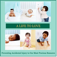 A Life to Love DVD cover