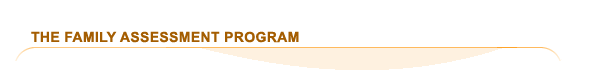 The Family Assessment Program