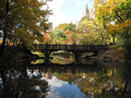 Central Park Conservancy's Planning, Design & Construction Division