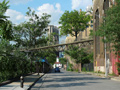 Construction of the Squibb Pedestrian Bridge
