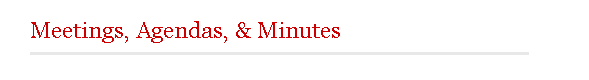 Meetings, Agendas, and Minutes