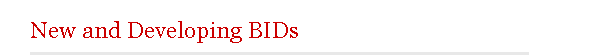New and Developing BIDs