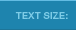 Text Size