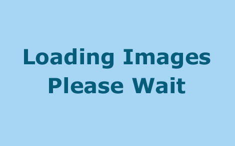 Loading images, please wait