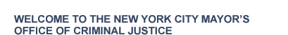 Welcome to the NYC Criminal Justice