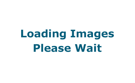 Loading images, please wait