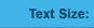 Text Size