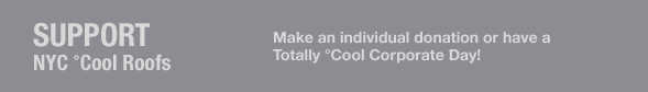 Support NYCºCoolRoofs
