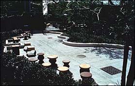 African Garden