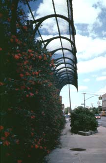 Wave Wall in Green, Fence and Landscape Design, 1995