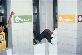 Garden Wall, Garden Path, and
The
Flying Book, Terrazzo tiles, porcelain enamel, paint on plywood, 2000