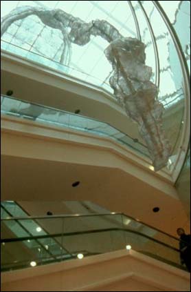 katul katul, Plastic and Aluminum Suspended Sculpture, 2003