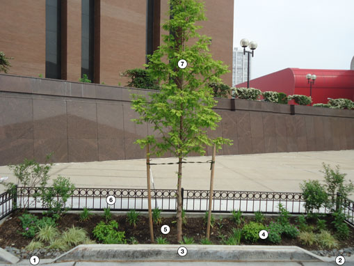 Bioswale Breakdown