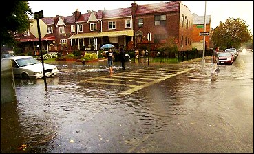 Photo credit: Queens resident