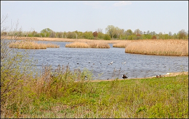 Jamaica Bay