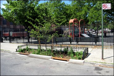 Streetside Swale in Brooklyn