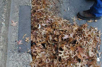 A fully clogged catch basin