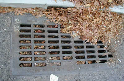 A partially clogged catch basin