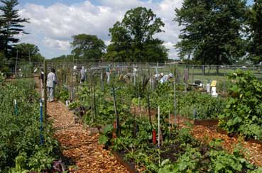 Queens Botanical Garden