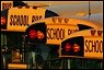 School Buses