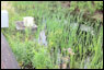 2012 Green Infrastructure Pilot Monitoring Report cover