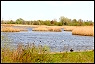 Jamaica Bay Watershed