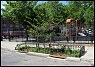 Streetside Swale in Brooklyn