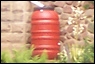 rain barrel