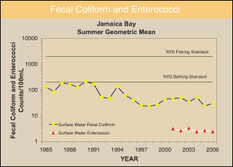 Fecal Coliform in Surface Waters
