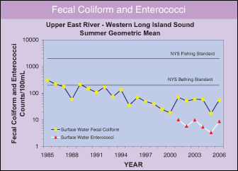 Fecal Coliform in Surface Waters