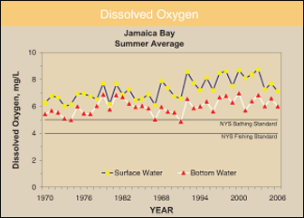 Dissolved Oxygen in Surface Waters