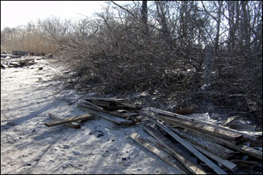 Gerritsen Beach