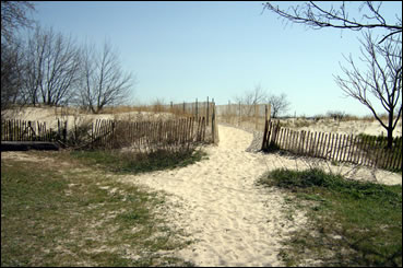Plum Beach