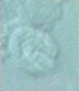 Cryptosporidium oocyst