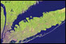 New York Harbor Water Quality Report