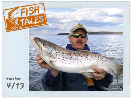 John Mills, who is a captain for Mermaid Sport Fishing Charters in Point Pleasant Beach, NJ, caught this brown trout at the Ashokan Reservoir in the week before Easter. The fish was around six pounds, and he also caught a smaller one around five pounds. John's brother, Tom Mills, informs us that both fish were quite tasty when they prepared them for Good Friday supper.
