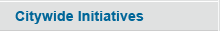 Citywide Initiatives
