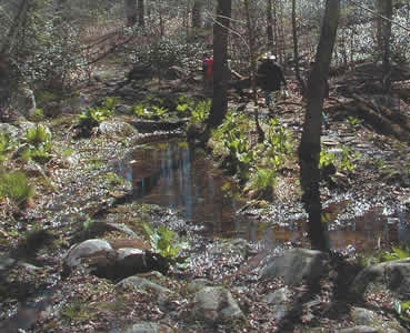 New York City Water Supply Lands Access Permit New York City Water Supply Lands Access Permit