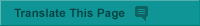 Translate This Page