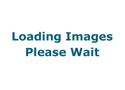 Loading images, please wait