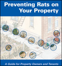 Preventing Rats on Your Property